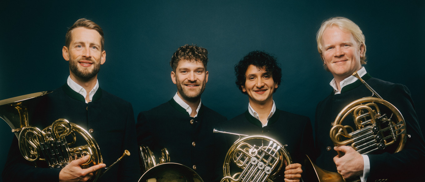 #hornlikes